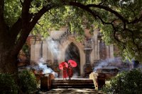 765 - IN FRONT OF THE TEMPLE - TEDJAPAWITRA KRISTIANTO GUNAWAN - indonesia